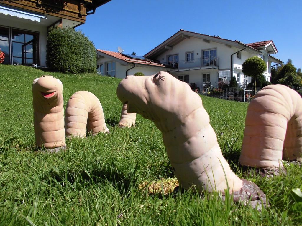 Ferienhaus Koessel Appartement Pfronten Buitenkant foto